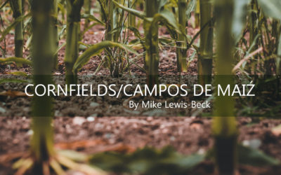 CORNFIELDS/CAMPOS DE MAIŹ