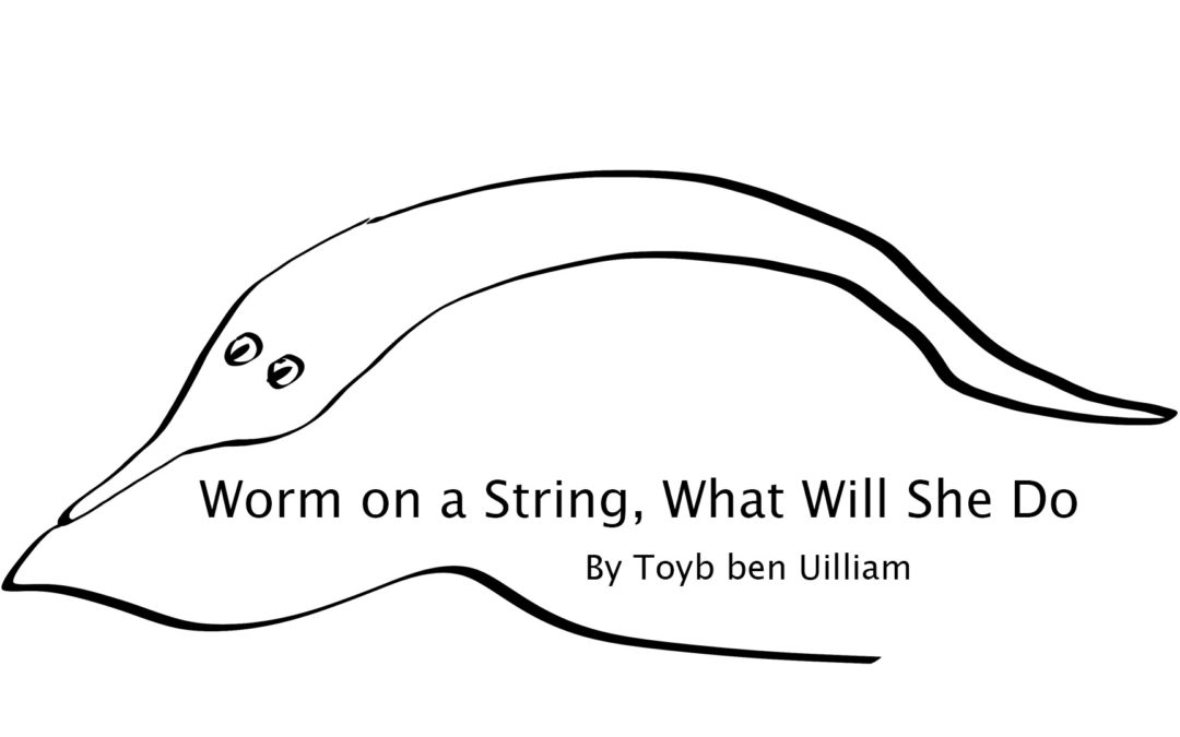 Worm on a String, What Will She Do