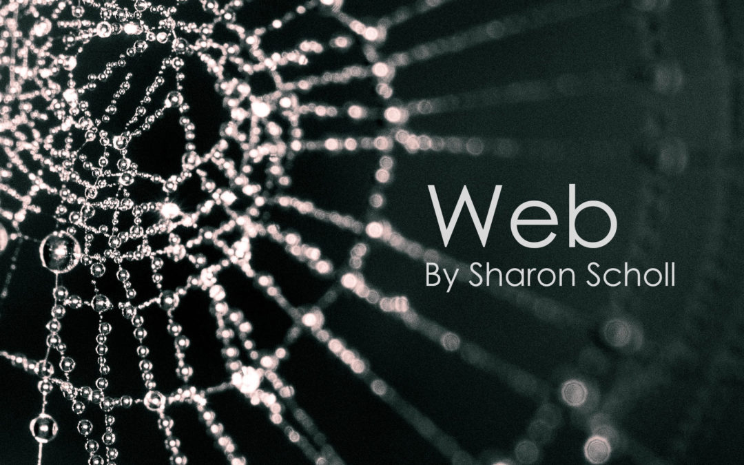 Web